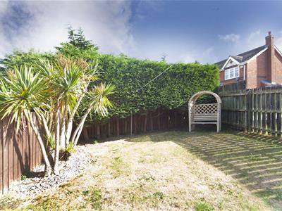Picture 20